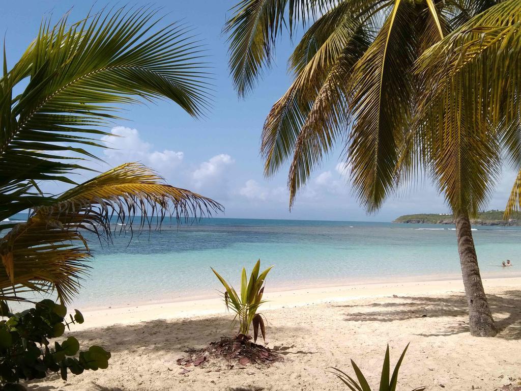 Appartements: Plage & Commerces A 200M 圣安尼 外观 照片
