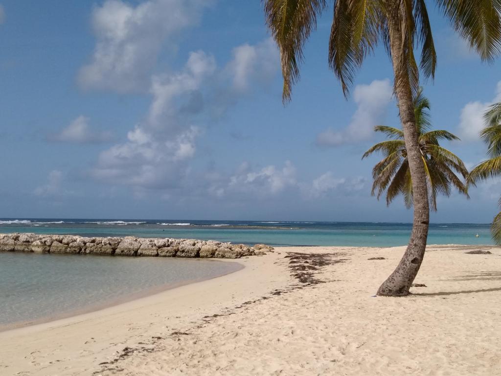 Appartements: Plage & Commerces A 200M 圣安尼 外观 照片